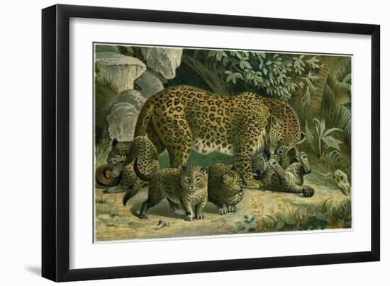 Leopard-null-Framed Giclee Print