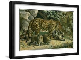 Leopard-null-Framed Giclee Print