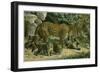 Leopard-null-Framed Giclee Print