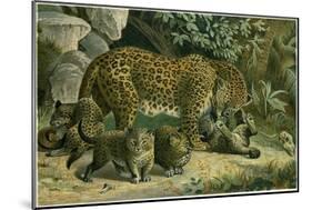 Leopard-null-Mounted Giclee Print