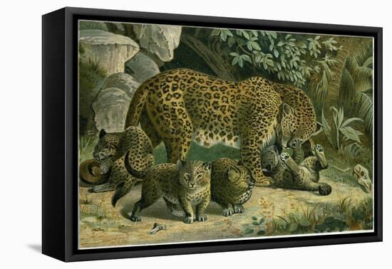 Leopard-null-Framed Stretched Canvas