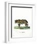 Leopard-null-Framed Giclee Print