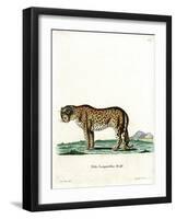 Leopard-null-Framed Giclee Print