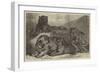 Leopards and Tigress Lately Added to the Zoological Society's Collection, Regent's Park-Samuel John Carter-Framed Giclee Print