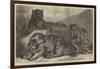 Leopards and Tigress Lately Added to the Zoological Society's Collection, Regent's Park-Samuel John Carter-Framed Giclee Print