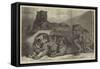 Leopards and Tigress Lately Added to the Zoological Society's Collection, Regent's Park-Samuel John Carter-Framed Stretched Canvas