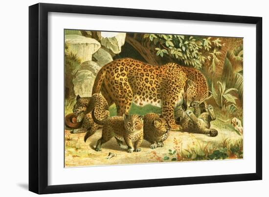 Leopards-English School-Framed Giclee Print