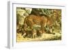 Leopards-English School-Framed Giclee Print