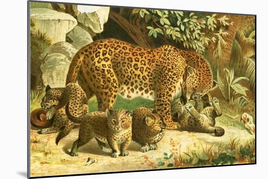 Leopards-English School-Mounted Giclee Print