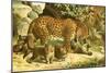 Leopards-English School-Mounted Giclee Print