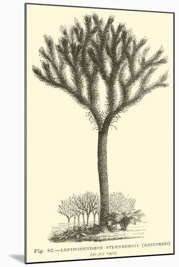 Lepidodendron Sternbergh, Restored-null-Mounted Giclee Print