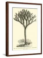 Lepidodendron Sternbergh, Restored-null-Framed Giclee Print