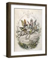 Lepidoptera Ride, Kiss-Amedee Varin-Framed Art Print