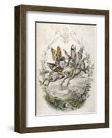 Lepidoptera Ride, Kiss-Amedee Varin-Framed Art Print