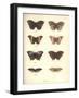 Lepidoptera-Friedrich Alexander Humboldt-Framed Giclee Print