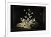 Lepidopterology-Heather Bonadio-Framed Photographic Print