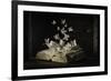 Lepidopterology-Heather Bonadio-Framed Photographic Print