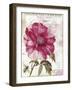 Lepink with Bee-Color Bakery-Framed Giclee Print