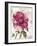 Lepink with Bee-Color Bakery-Framed Giclee Print