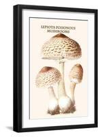 Lepiota Poisonous Mushrooms-L. Dufour-Framed Art Print