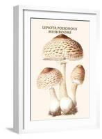 Lepiota Poisonous Mushrooms-L. Dufour-Framed Art Print