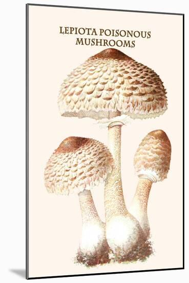 Lepiota Poisonous Mushrooms-L. Dufour-Mounted Art Print