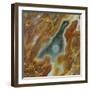 Leporis-Jason Jade-Framed Giclee Print