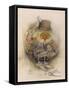 Leprechaun Cobbler-Wayne Anderson-Framed Stretched Canvas