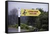 Leprechaun Crossing Sign-Bo Zaunders-Framed Stretched Canvas