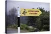 Leprechaun Crossing Sign-Bo Zaunders-Stretched Canvas