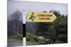 Leprechaun Crossing Sign-Bo Zaunders-Mounted Photographic Print