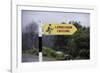 Leprechaun Crossing Sign-Bo Zaunders-Framed Photographic Print