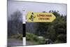 Leprechaun Crossing Sign-Bo Zaunders-Mounted Photographic Print