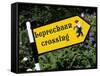 Leprechaun Crossing Signpost, County Kerry, Munster, Republic of Ireland, Europe-Stuart Black-Framed Stretched Canvas