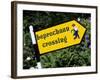 Leprechaun Crossing Signpost, County Kerry, Munster, Republic of Ireland, Europe-Stuart Black-Framed Photographic Print