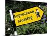 Leprechaun Crossing Signpost, County Kerry, Munster, Republic of Ireland, Europe-Stuart Black-Mounted Photographic Print