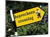 Leprechaun Crossing Signpost, County Kerry, Munster, Republic of Ireland, Europe-Stuart Black-Mounted Photographic Print