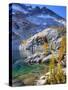 Leprechaun Lake, Enchantment Lakes, Alpine Lakes Wilderness, Washington, Usa-Jamie & Judy Wild-Stretched Canvas