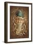 Leprechaun-Patricia Dymer-Framed Giclee Print