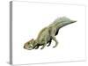 Leptoceratops Dinosaur-null-Stretched Canvas