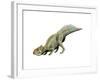 Leptoceratops Dinosaur-null-Framed Art Print