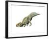 Leptoceratops Dinosaur-null-Framed Art Print