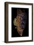 Leptopelis Sp. (Forest Treefrog )-Paul Starosta-Framed Photographic Print