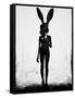 Lepus-Ruben Ireland-Framed Stretched Canvas