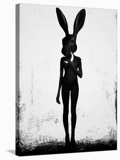 Lepus-Ruben Ireland-Stretched Canvas