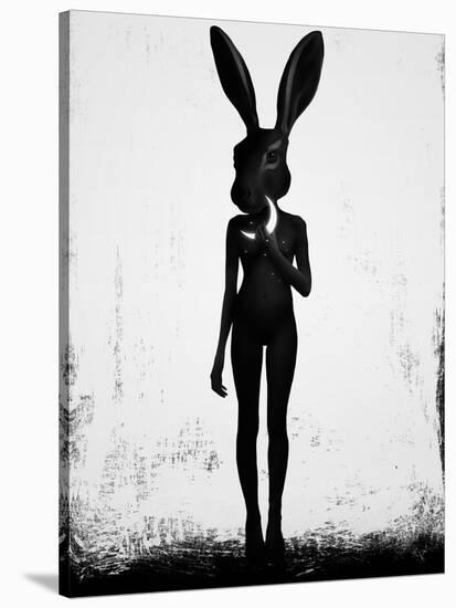 Lepus-Ruben Ireland-Stretched Canvas