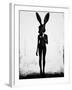 Lepus-Ruben Ireland-Framed Art Print