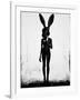 Lepus-Ruben Ireland-Framed Art Print