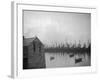 Lerwick Fishing Fleet-null-Framed Photographic Print