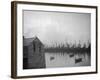 Lerwick Fishing Fleet-null-Framed Photographic Print